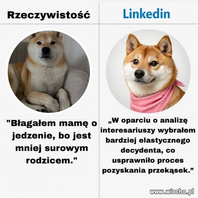 Rzeczywistość kontra LinkedIn