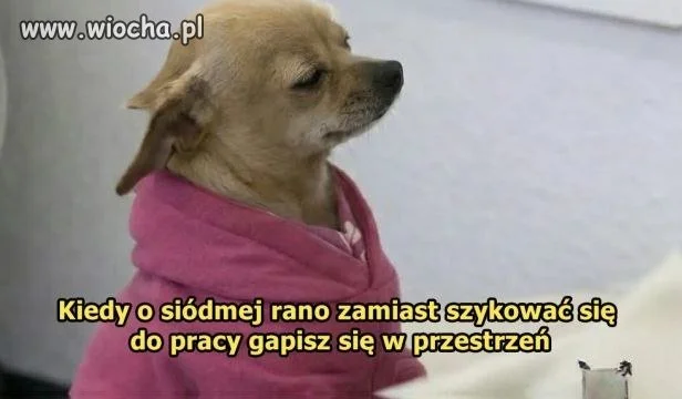 Dlaczego tak jest zawsze?