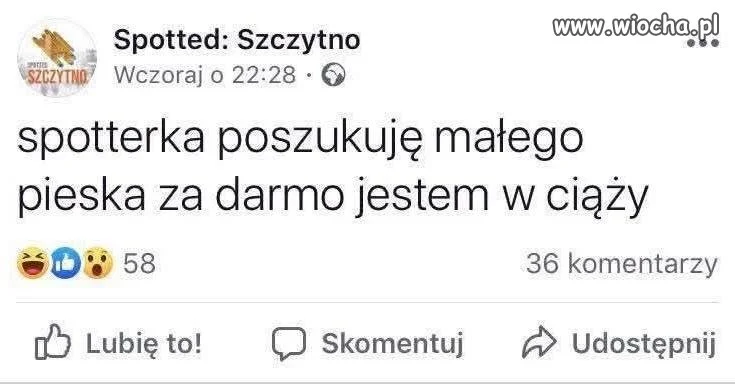 Poszukuję małego pieska za darmo