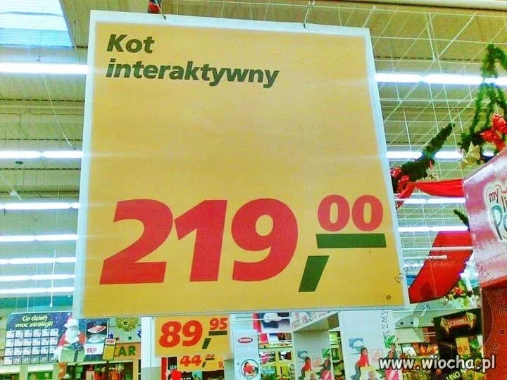 Kot intertaktywny
