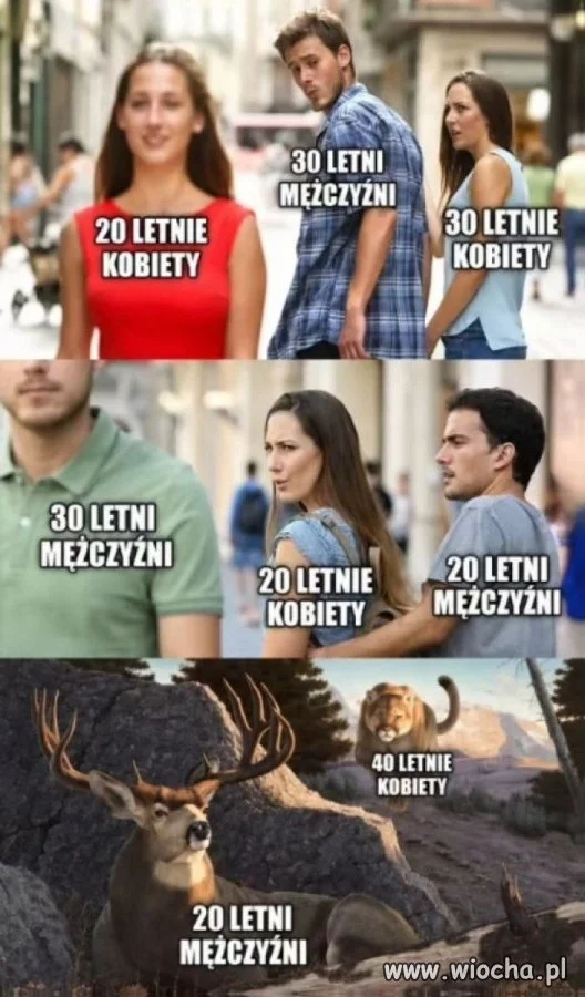 I tak w kółko