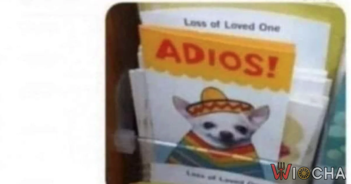 Adios, Pani mamo!