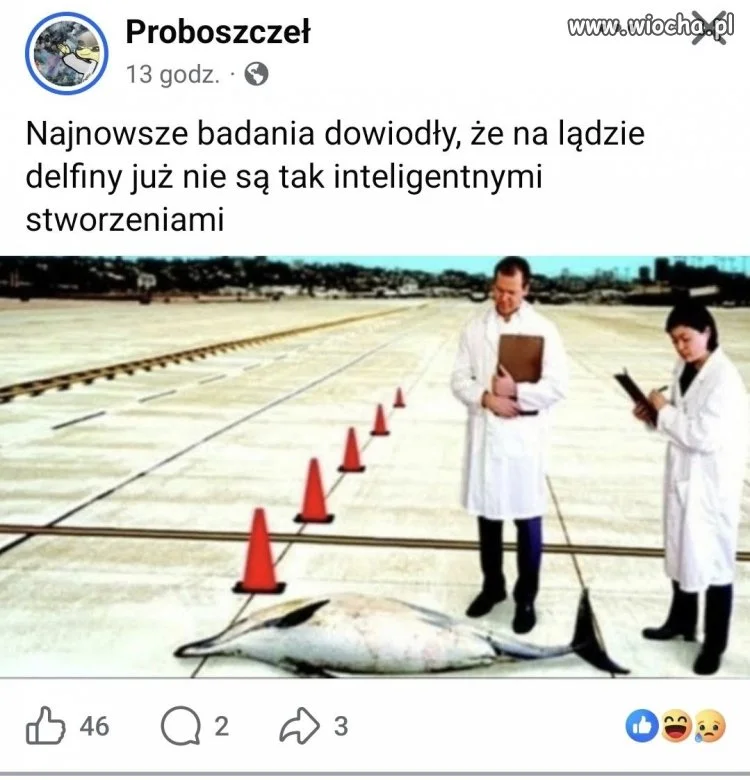 Nie każda zmiana środowiska służy
