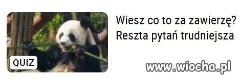 Wiesz co to za zwierzę?