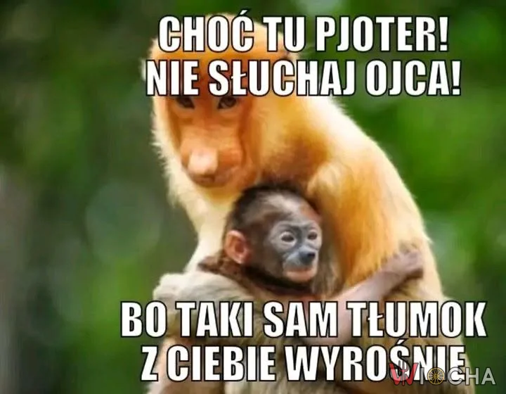Matczyna miłość: obrazi ojca, ale syna przytuli.