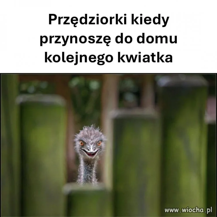 Dlaczego tak jest zawsze?