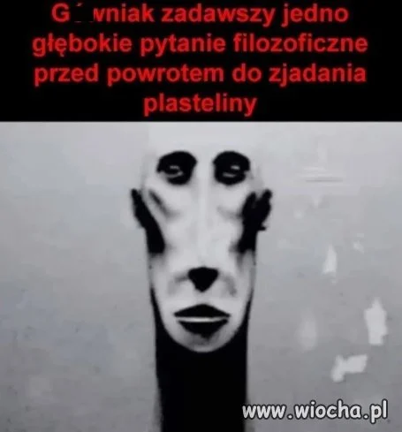 Zada filozoficzne pytanie