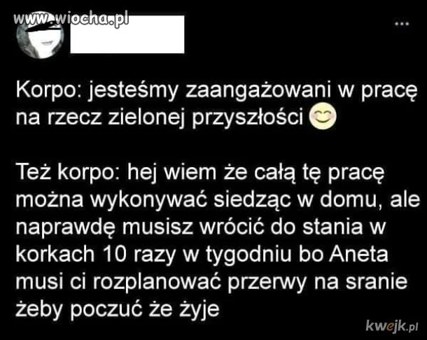 Tylko praca zdalna a nie jakieś tam zawracanie gitary!