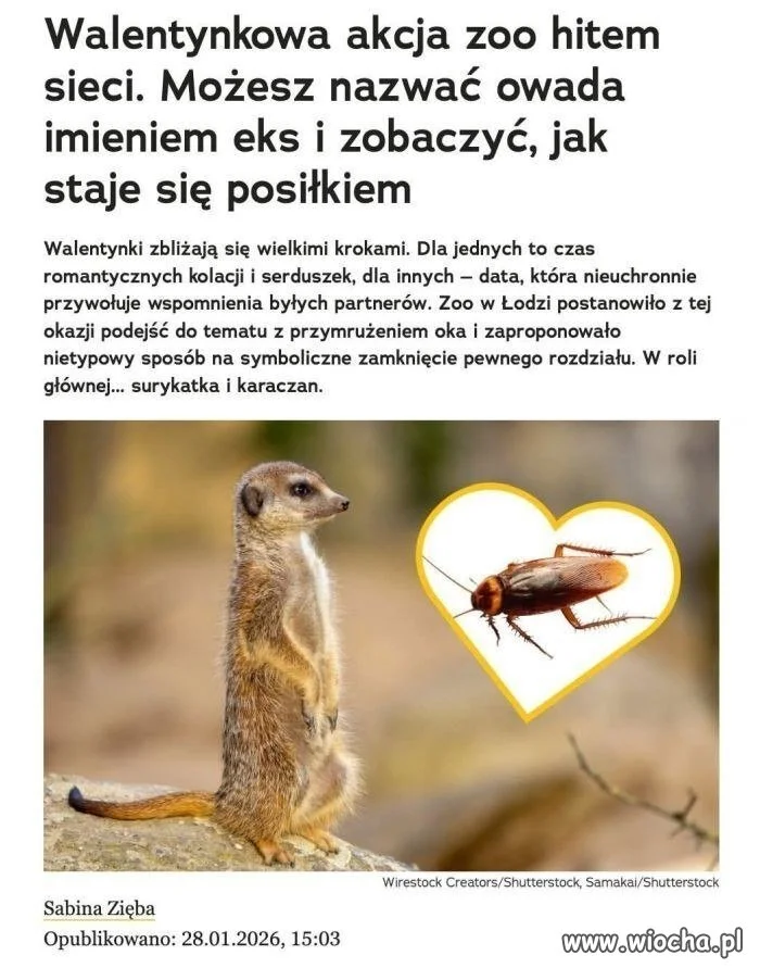 Mistrzowie marketingu