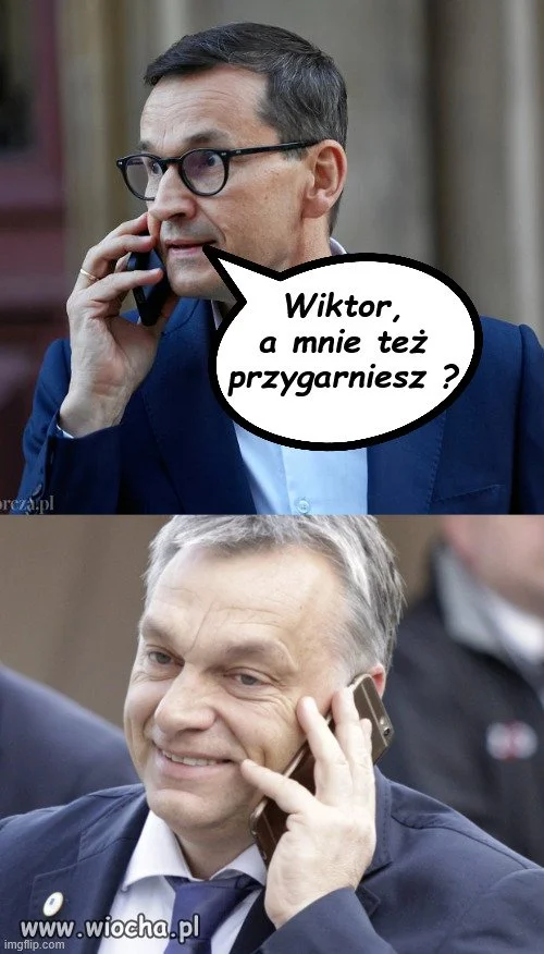 Słyszeliście o tanich działkach