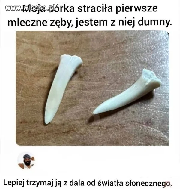 Oho takie ząbki mleczne 
