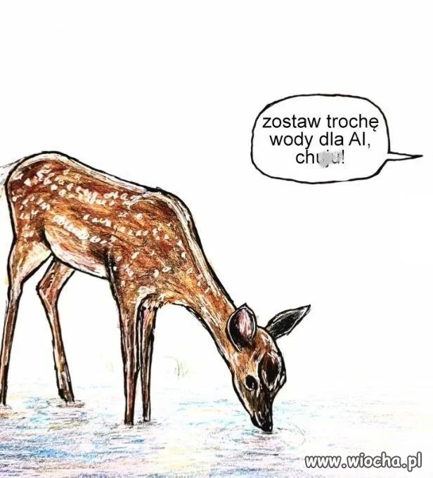 Nie rozpędzaj się