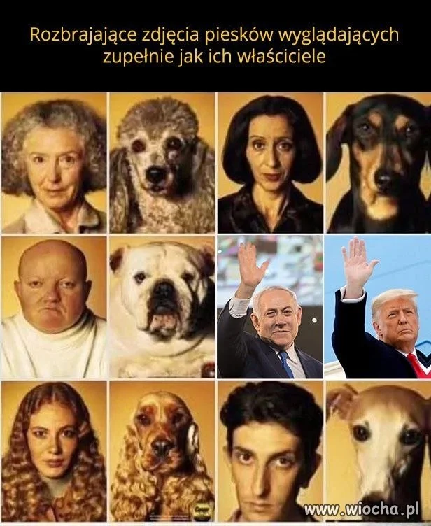 Wszyscy jak dwie krople wody