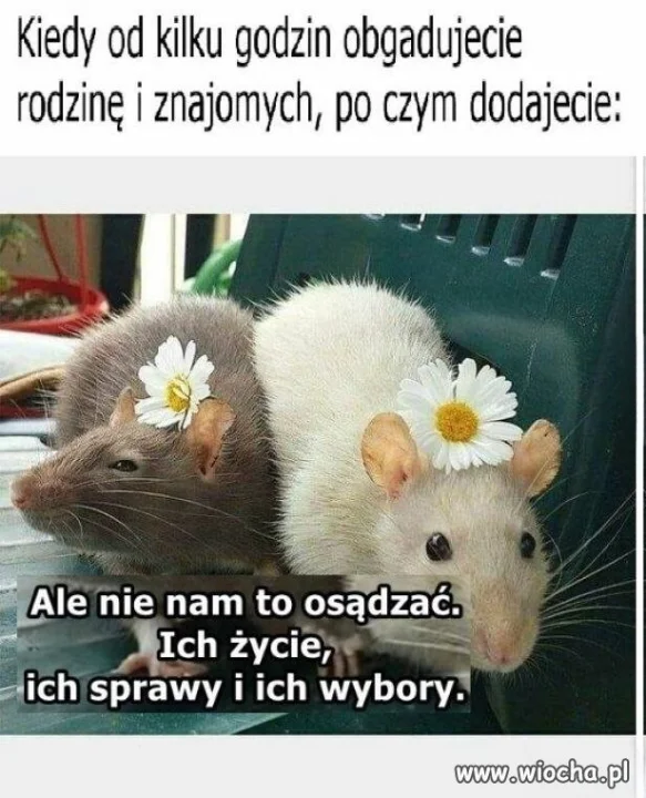 Nie mi ich osądzać