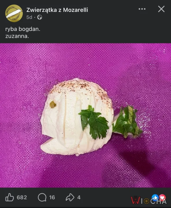 Ryba Bogdan