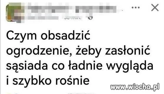 Po co zasłaniać sąsiada, skoro ładnie wygląda?