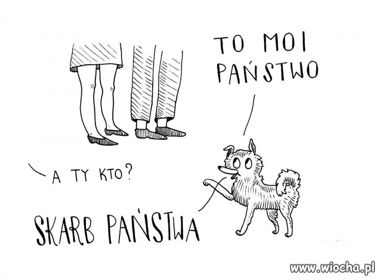Proszę państwa,
