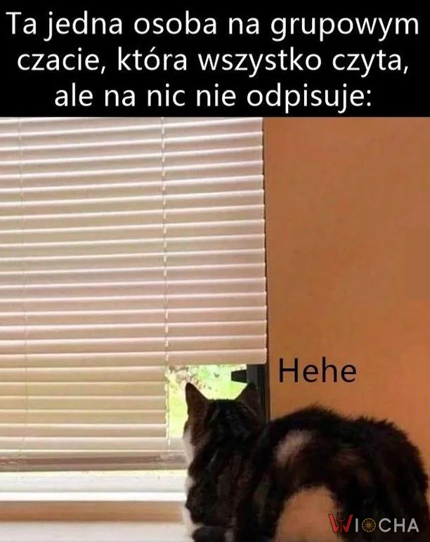 Człowiek cień