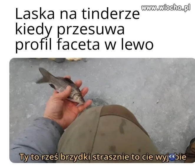 Nawet ryba się zgadza