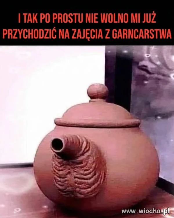 Bez polityki 