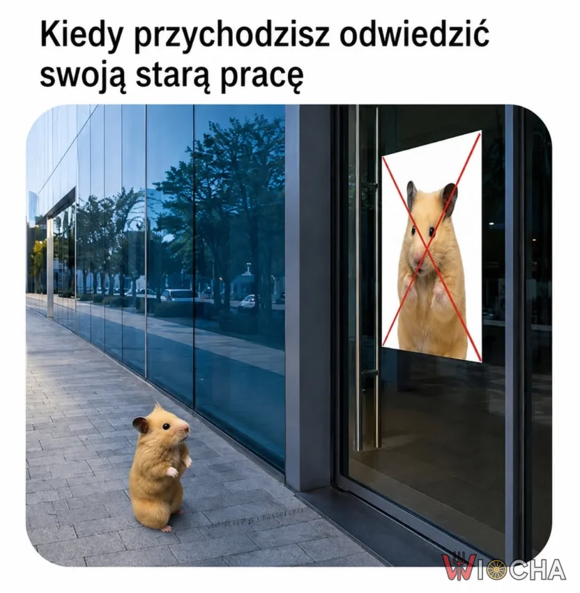 Powroty nie zawsze są miłe