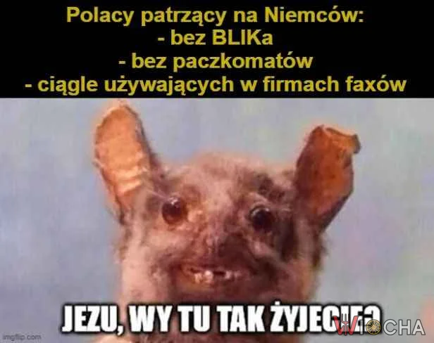 Wy tak żyjecie?