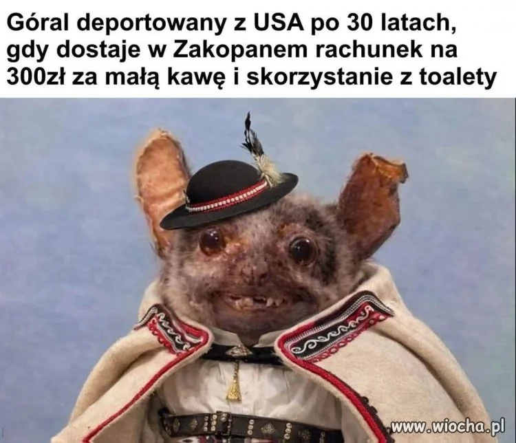Zakopane czy Nowy Jork? Ceny mówią same za siebie