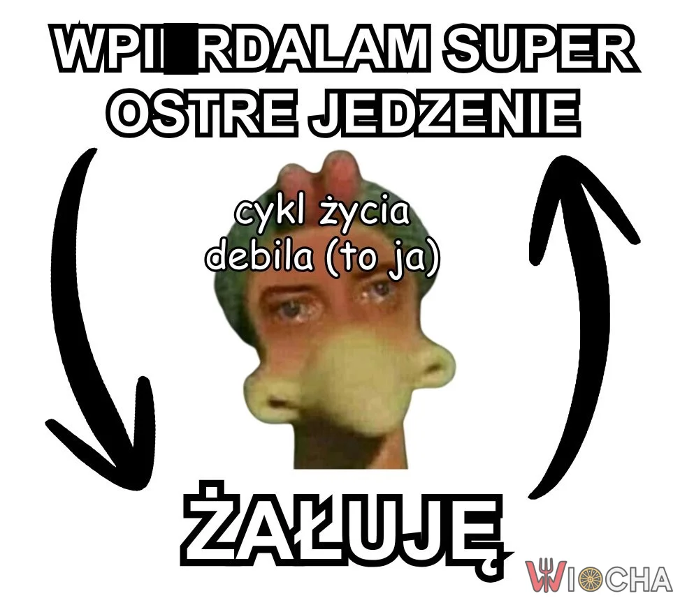 Ja niczego nie żałuję