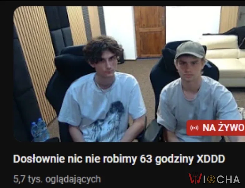 Dosłownie nic nie robią