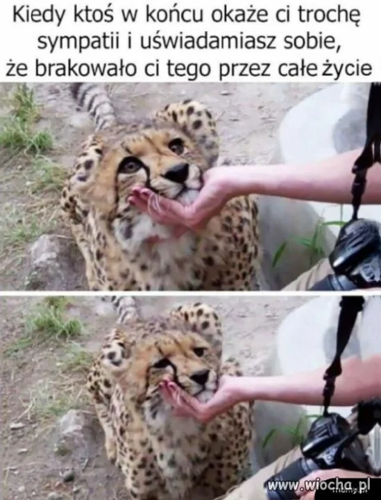 W końcu trochę sympatii