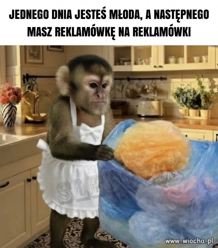 Jedngo dnia jesteś młoda,