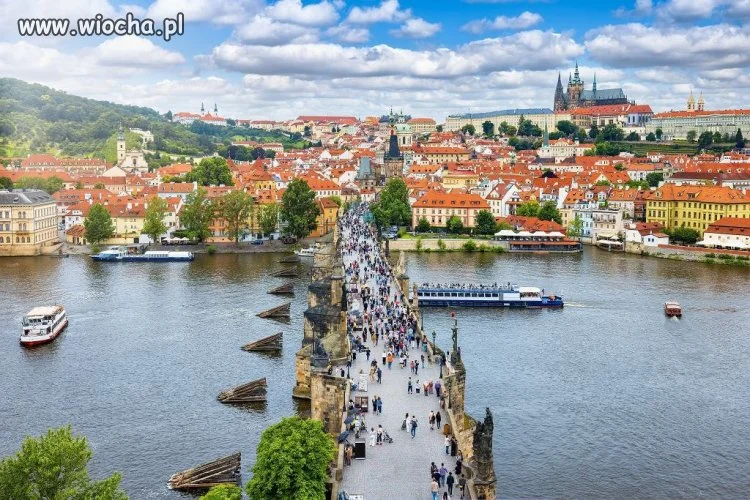 Czechy nie chcą euro. Zachowają swoją walutę na zawsze? Mają zaskakujący plan