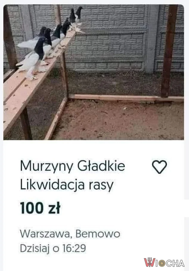 Szybka sprzedaż