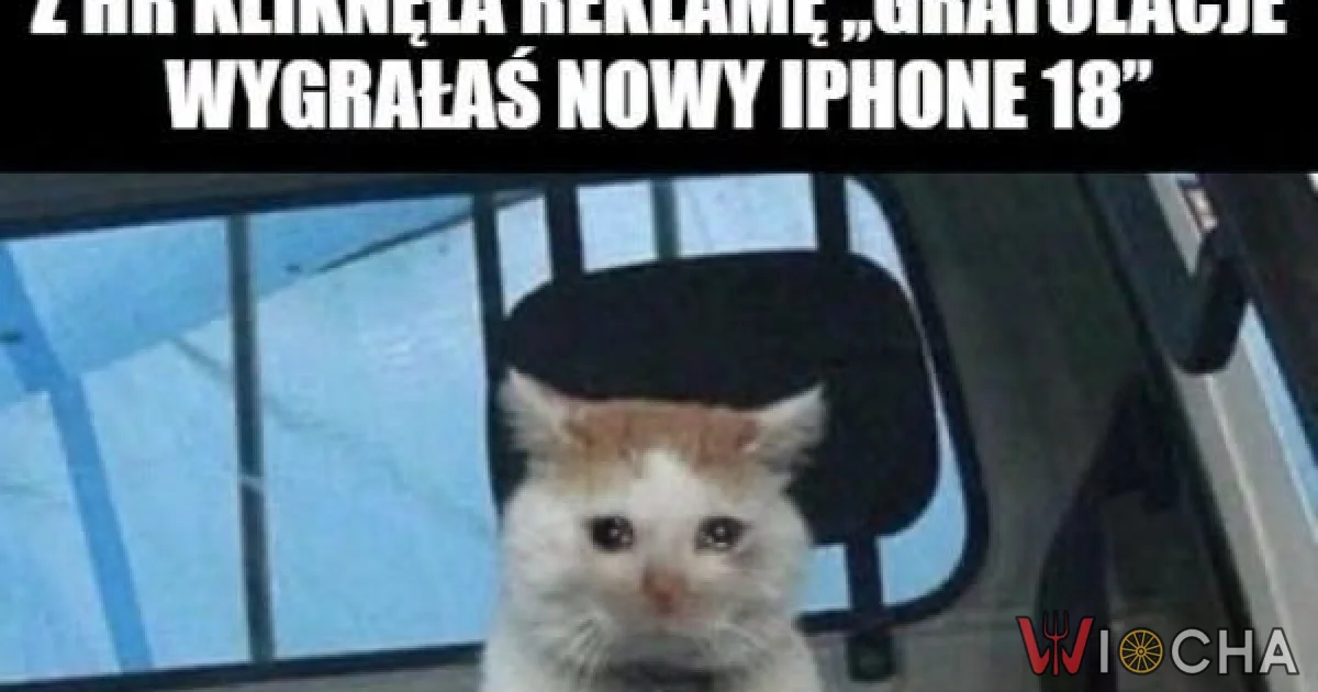 Dzięki wielkie, Anetka