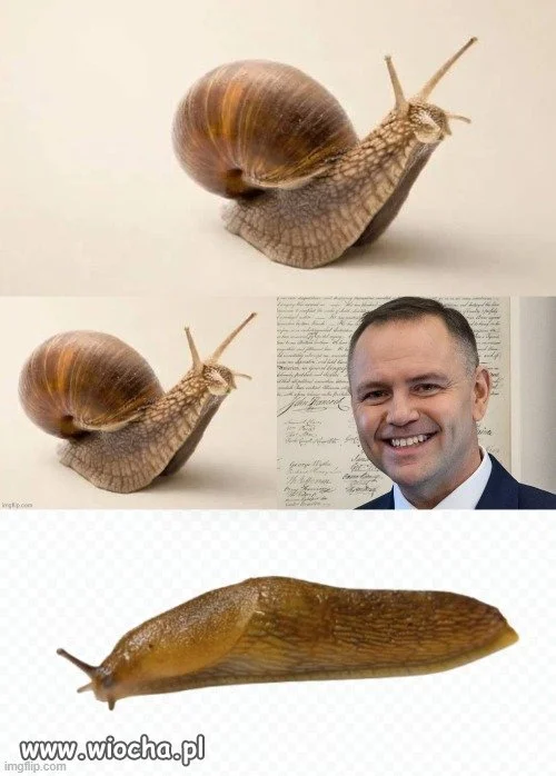Opis poszedł do notariusza,