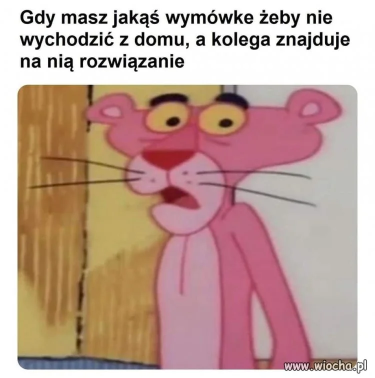 Introwertyk w opałach