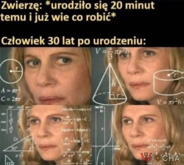 Mądrość przychodzi z wiekiem?