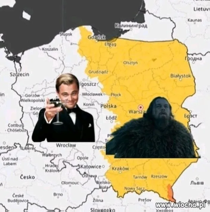Mój dom DiCaprio podzielony