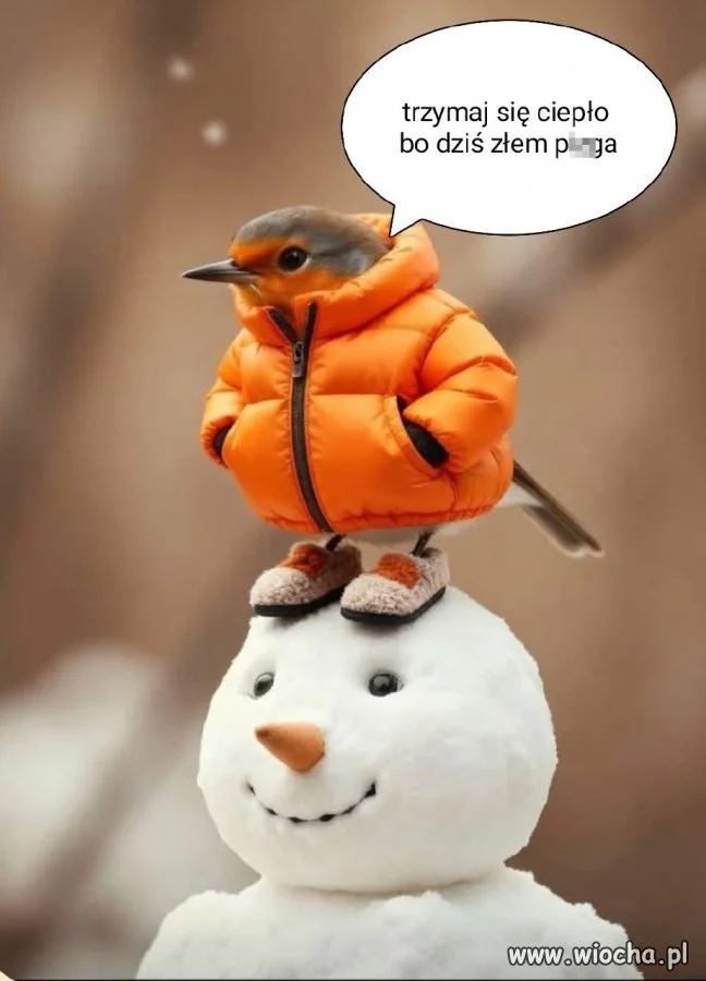 Ile tego jeszcze?