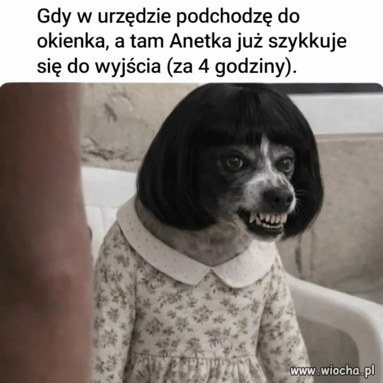 Obsługa interesanta