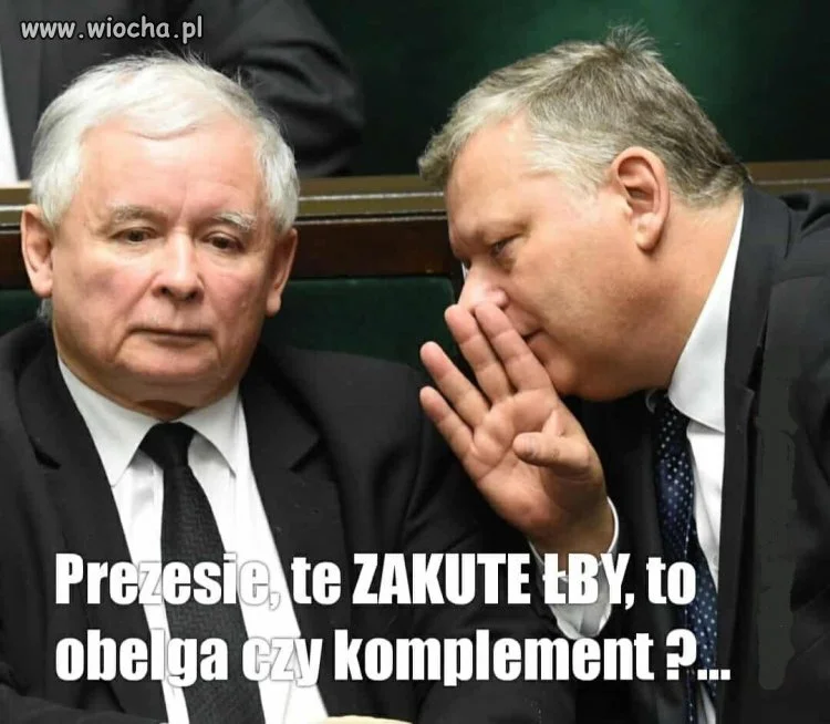 Wszyscy pisowcy mocno skonfundowani... 