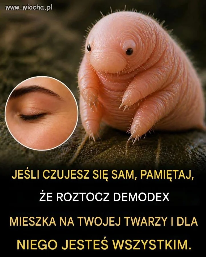 Nigdy nie jesteś samotny