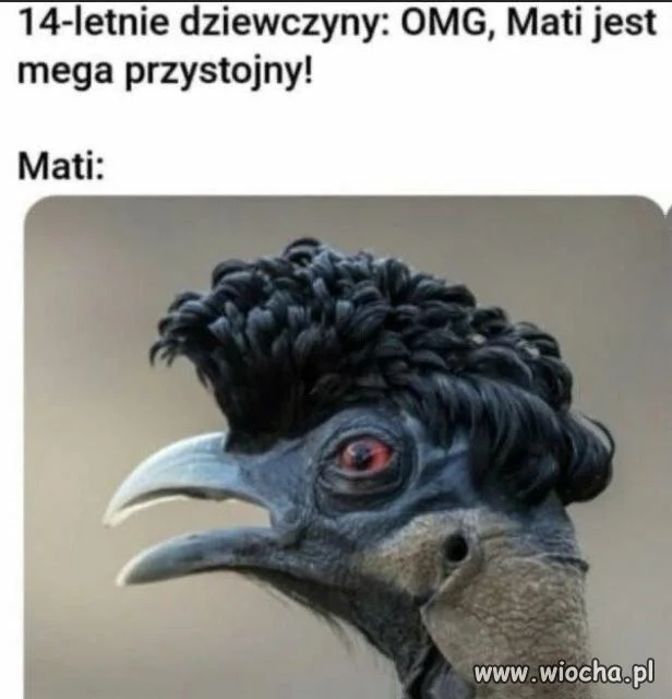 Mati, ale fryz to masz niezły