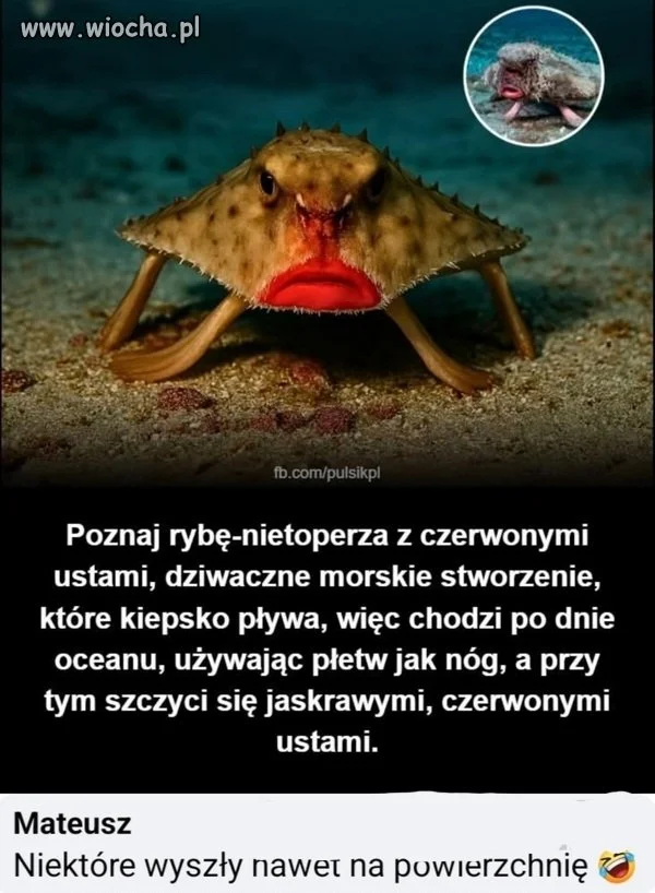 Cóż...