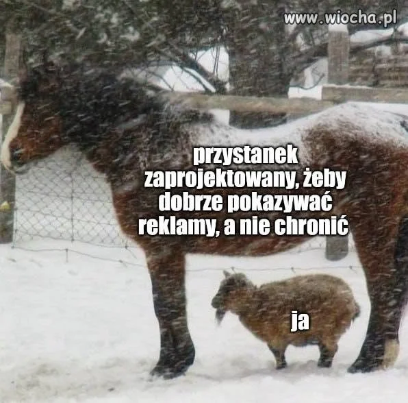 Gdy projektujesz przystanek, ale nie masz budżetu