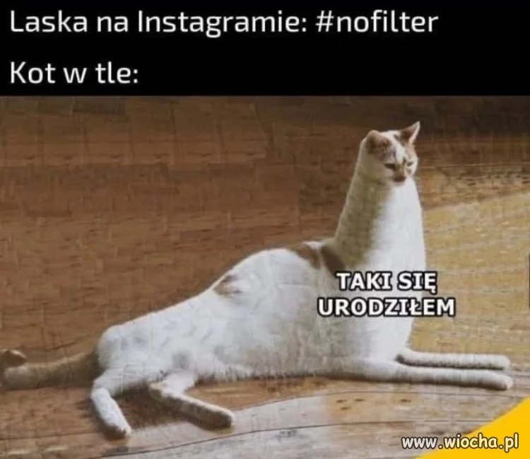 Naturalna piękność