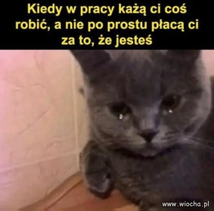 Kiedy praca wymaga pracy