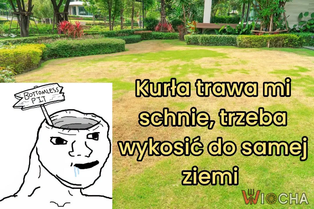 Misja koszenie do samej ziemi
