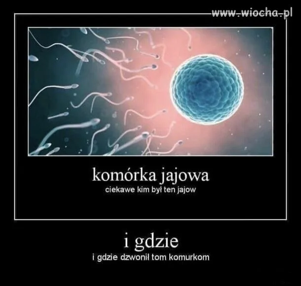 Wielka tajemnica