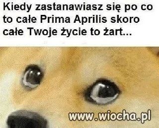 Moje życie to żart